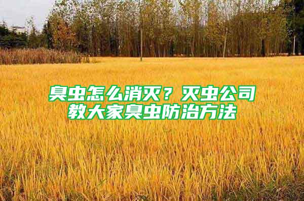 臭虫怎么消灭？灭虫公司教大家臭虫防治方法