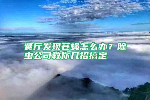 餐厅发现苍蝇怎么办？除虫公司教你几招搞定