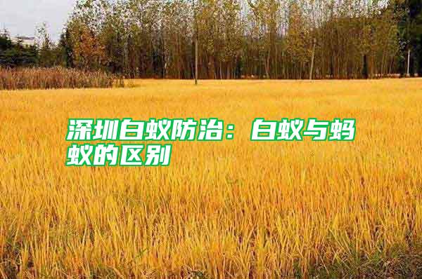 深圳白蚁防治：白蚁与蚂蚁的区别