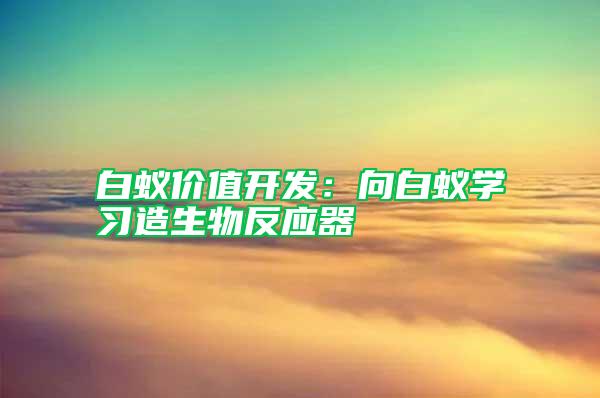 白蚁价值开发：向白蚁学习造生物反应器