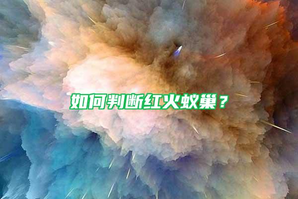 如何判断红火蚁巢？