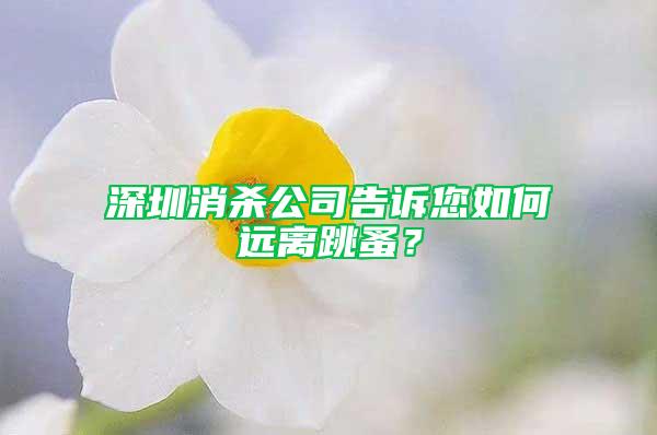 深圳消杀公司告诉您如何远离跳蚤？