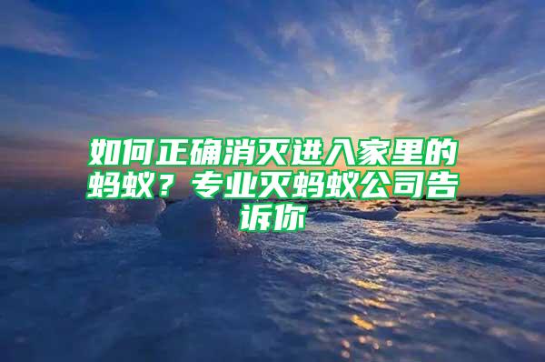 如何正确消灭进入家里的蚂蚁？专业灭蚂蚁公司告诉你