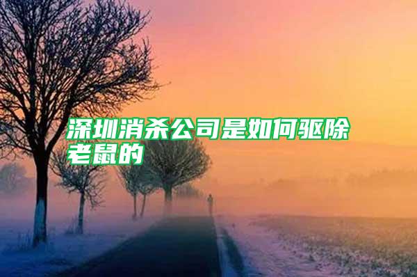 深圳消杀公司是如何驱除老鼠的