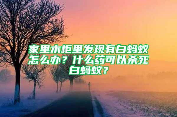 家里木柜里发现有白蚂蚁怎么办？什么药可以杀死白蚂蚁？