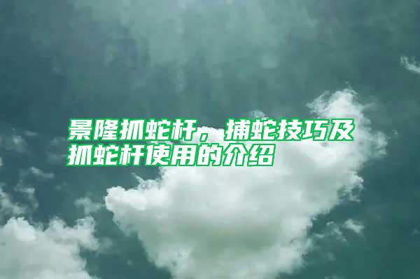 景隆抓蛇杆，捕蛇技巧及抓蛇杆使用的介绍