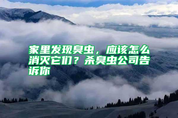 家里发现臭虫，应该怎么消灭它们？杀臭虫公司告诉你