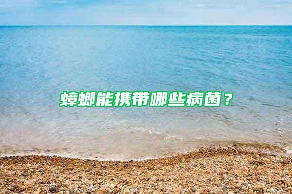 蟑螂能携带哪些病菌？