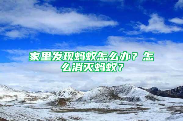 家里发现蚂蚁怎么办？怎么消灭蚂蚁？