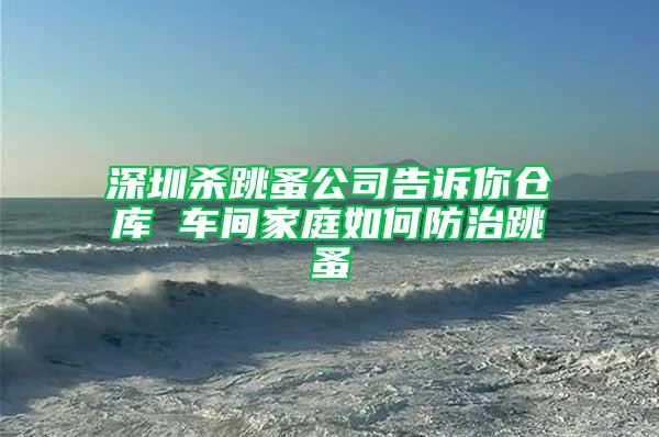 深圳杀跳蚤公司告诉你仓库 车间家庭如何防治跳蚤