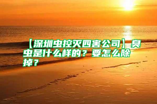 【深圳虫控灭四害公司】臭虫是什么样的？要怎么除掉？