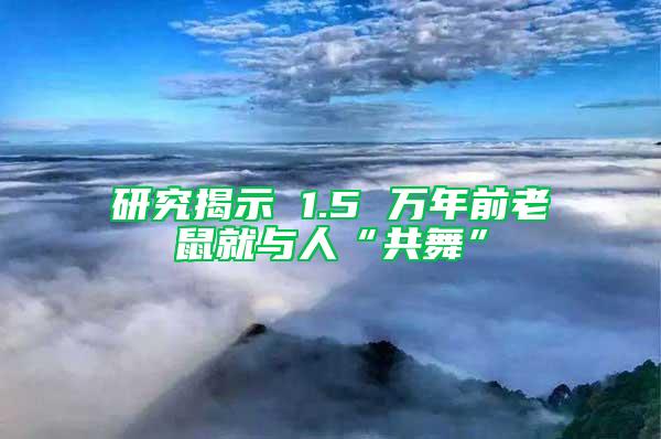 研究揭示 1.5 万年前老鼠就与人“共舞”