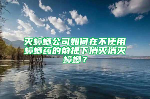 灭蟑螂公司如何在不使用蟑螂药的前提下消灭消灭蟑螂？