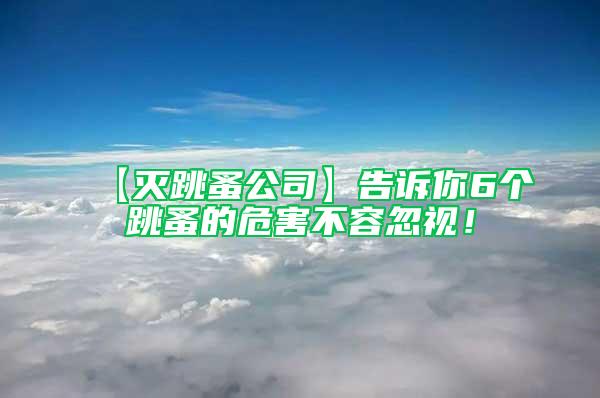 【灭跳蚤公司】告诉你6个跳蚤的危害不容忽视！