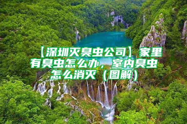 【深圳灭臭虫公司】家里有臭虫怎么办，室内臭虫怎么消灭（图解）