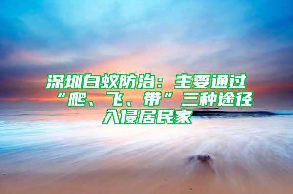 深圳白蚁防治：主要通过“爬、飞、带”三种途径入侵居民家