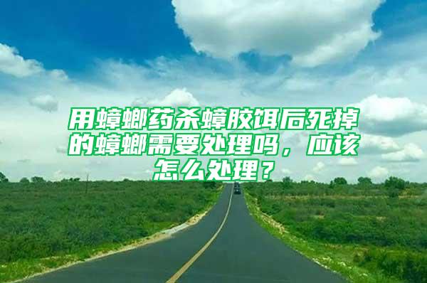 用蟑螂药杀蟑胶饵后死掉的蟑螂需要处理吗，应该怎么处理？