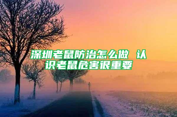 深圳老鼠防治怎么做 认识老鼠危害很重要