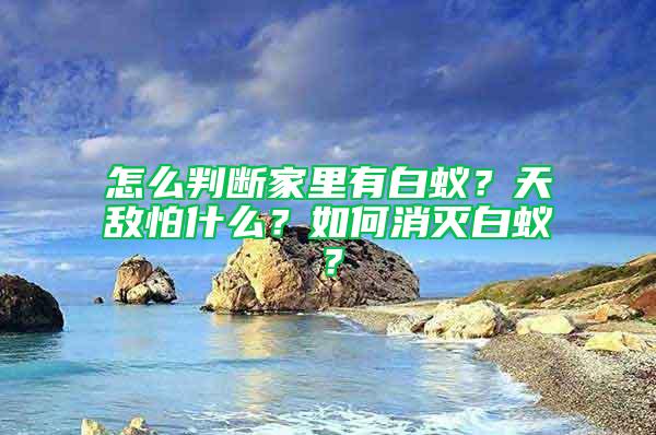 怎么判断家里有白蚁？天敌怕什么？如何消灭白蚁？