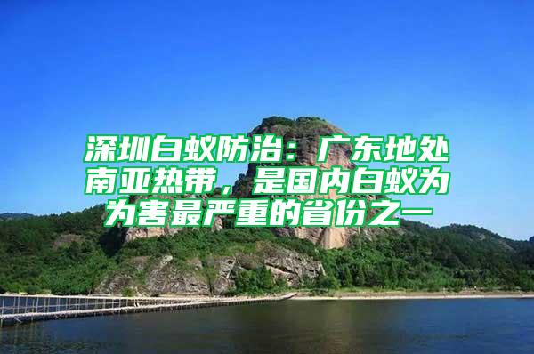 深圳白蚁防治：广东地处南亚热带，是国内白蚁为为害最严重的省份之一