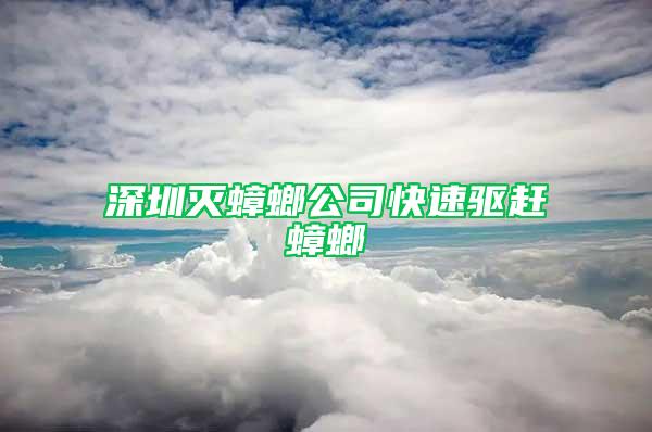 深圳灭蟑螂公司快速驱赶蟑螂