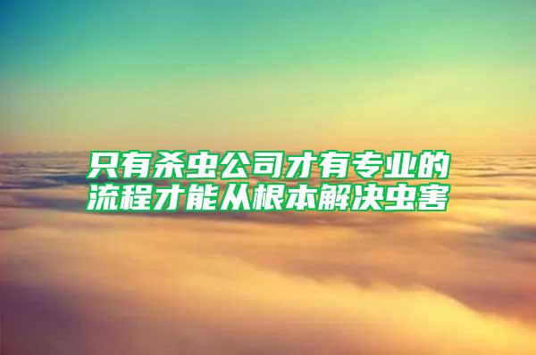 只有杀虫公司才有专业的流程才能从根本解决虫害