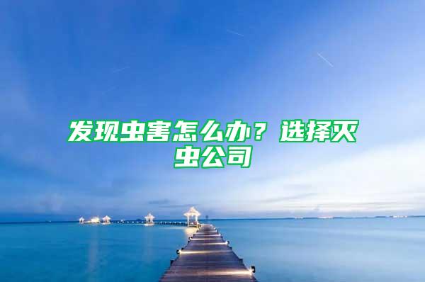 发现虫害怎么办？选择灭虫公司