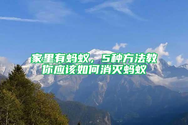 家里有蚂蚁，5种方法教你应该如何消灭蚂蚁