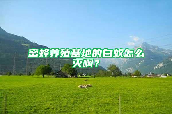 蜜蜂养殖基地的白蚁怎么灭啊？