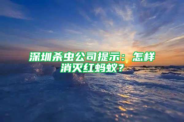 深圳杀虫公司提示：怎样消灭红蚂蚁？