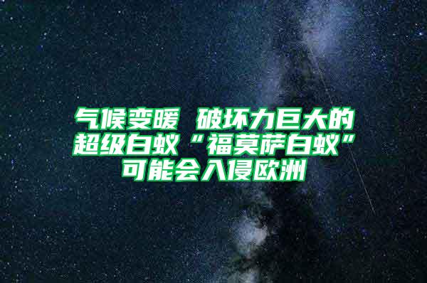 气候变暖 破坏力巨大的超级白蚁“福莫萨白蚁”可能会入侵欧洲