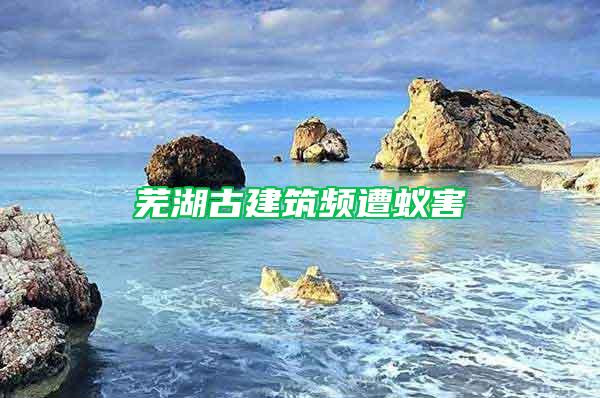 芜湖古建筑频遭蚁害