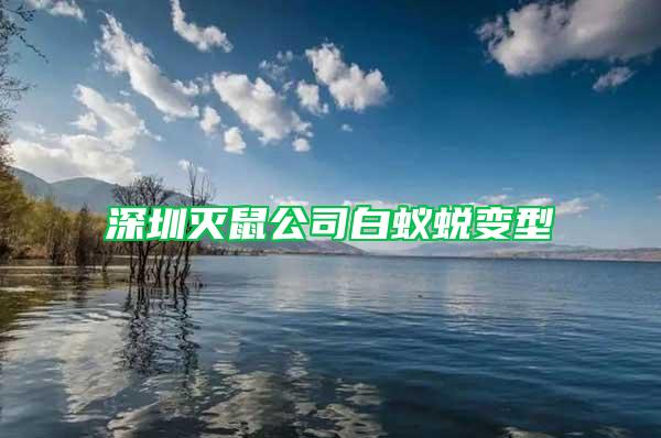 深圳灭鼠公司白蚁蜕变型