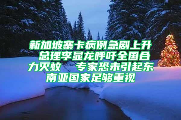 新加坡寨卡病例急剧上升 总理李显龙呼吁全国合力灭蚊  专家恐未引起东南亚国家足够重视