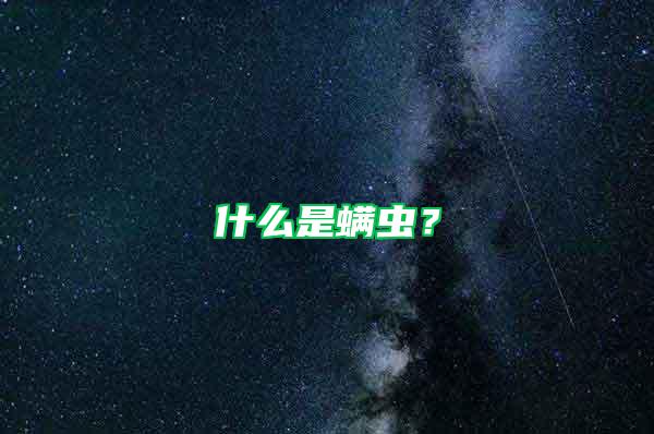 什么是螨虫？