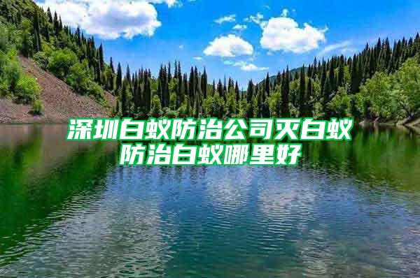 深圳白蚁防治公司灭白蚁防治白蚁哪里好