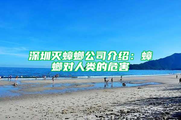 深圳灭蟑螂公司介绍：蟑螂对人类的危害