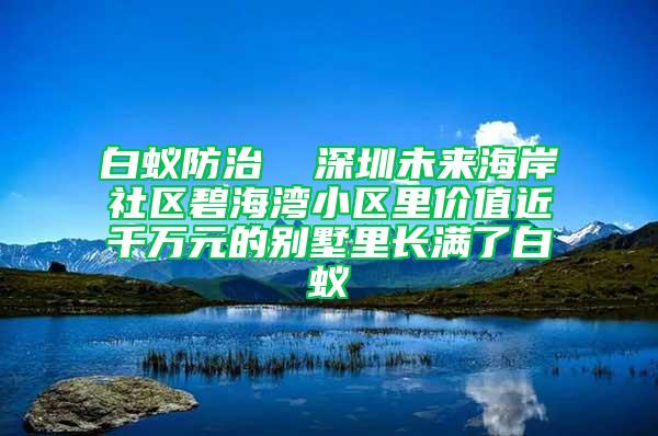 白蚁防治  深圳未来海岸社区碧海湾小区里价值近千万元的别墅里长满了白蚁