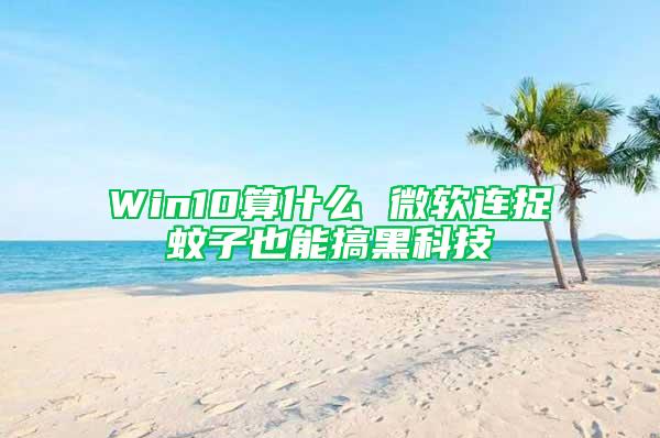 Win10算什么 微软连捉蚊子也能搞黑科技