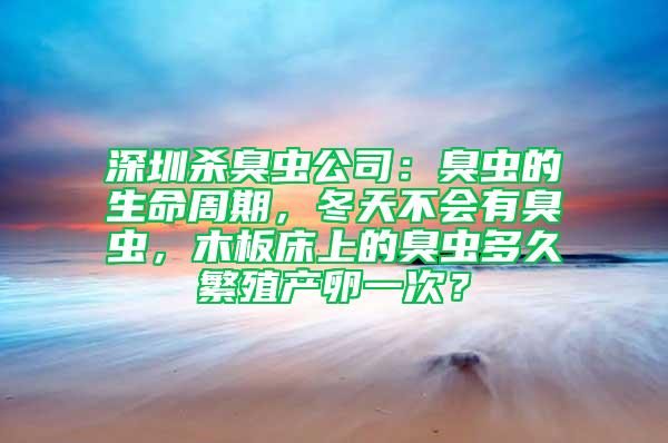 深圳杀臭虫公司：臭虫的生命周期，冬天不会有臭虫，木板床上的臭虫多久繁殖产卵一次？