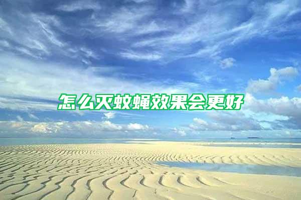 怎么灭蚊蝇效果会更好