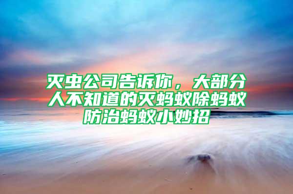 灭虫公司告诉你，大部分人不知道的灭蚂蚁除蚂蚁防治蚂蚁小妙招