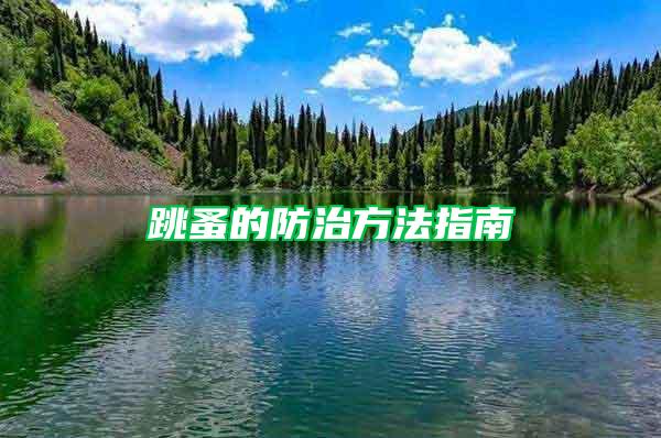 跳蚤的防治方法指南