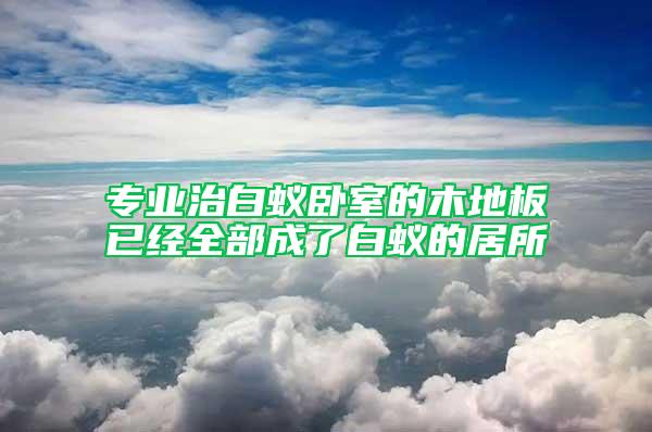 专业治白蚁卧室的木地板已经全部成了白蚁的居所