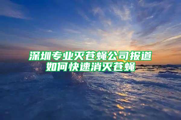 深圳专业灭苍蝇公司报道如何快速消灭苍蝇