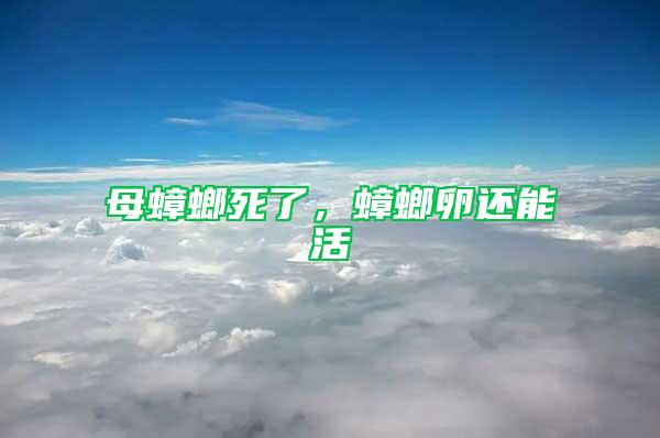 母蟑螂死了，蟑螂卵还能活