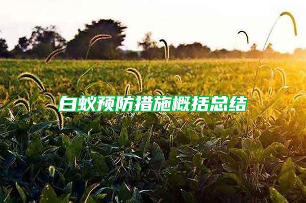 白蚁预防措施概括总结