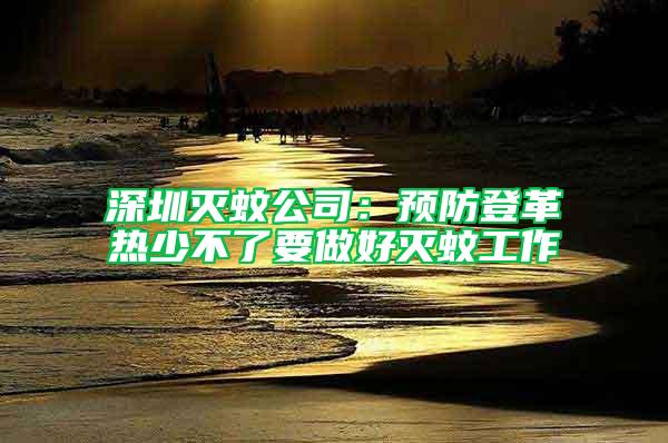 深圳灭蚊公司：预防登革热少不了要做好灭蚊工作