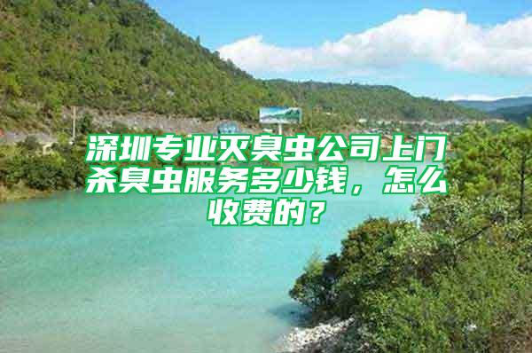 深圳专业灭臭虫公司上门杀臭虫服务多少钱，怎么收费的？