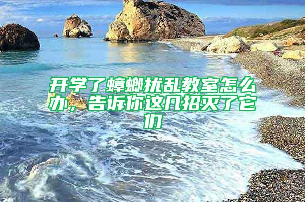 开学了蟑螂扰乱教室怎么办，告诉你这几招灭了它们